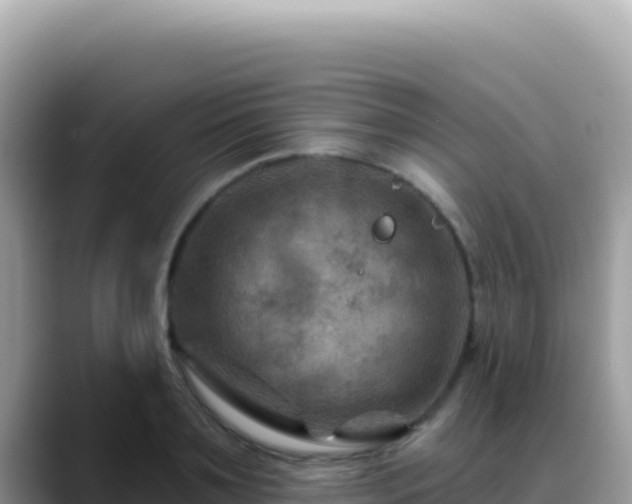 X0000088730891200706071637
