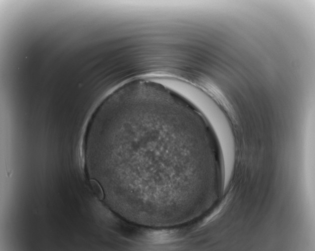 X0000088730892200706071637