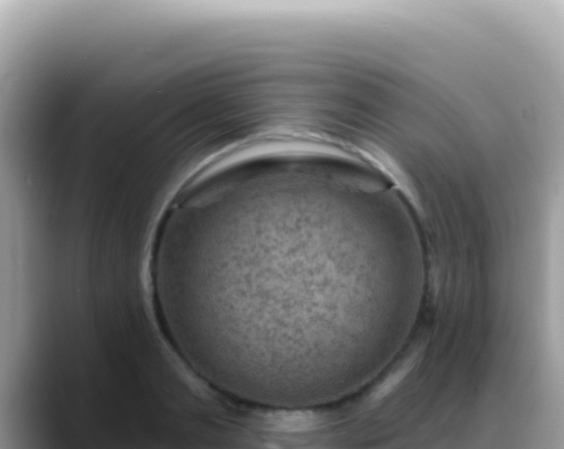 X0000088730893200706071637