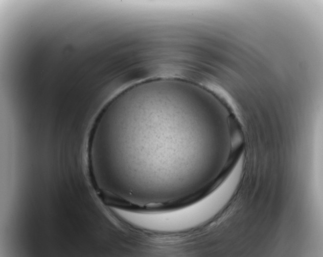 X0000088730894200706071637