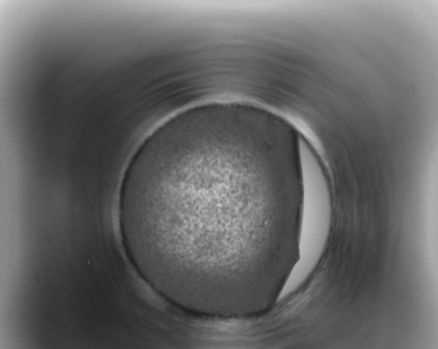 X0000088730895200706071637