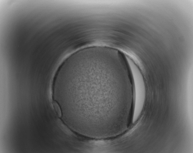 X0000088730896200706071637