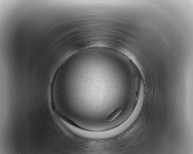 X0000088730898200706071637