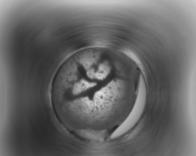 X0000088730899200706071637