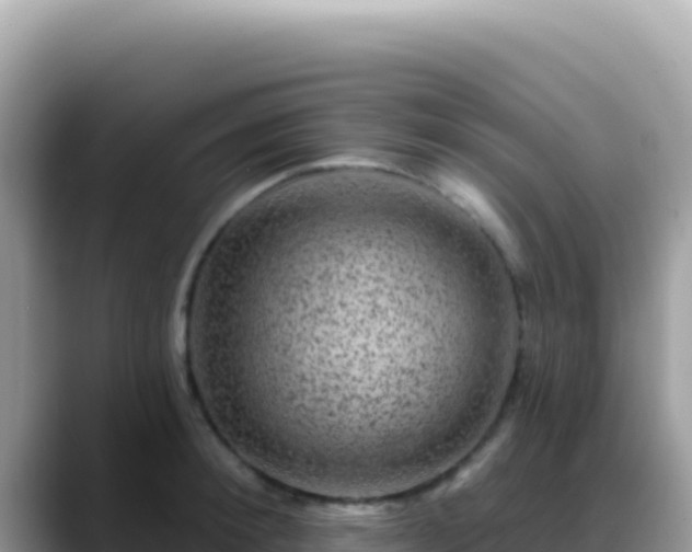 X0000088730900200706071637