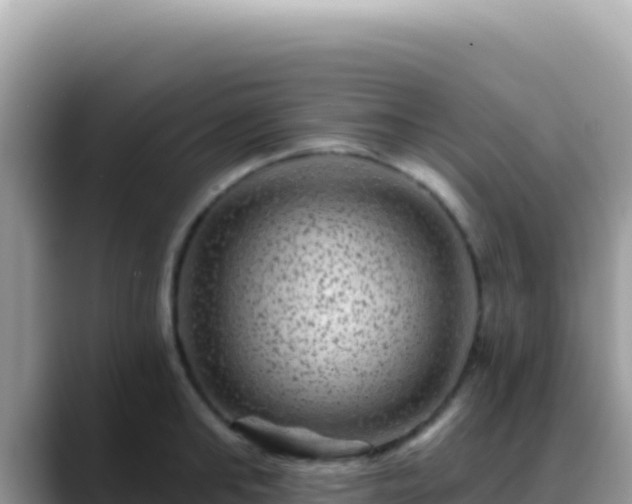 X0000088730902200706071637