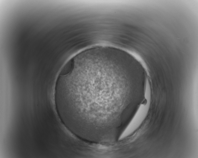 X0000088730903200706071637