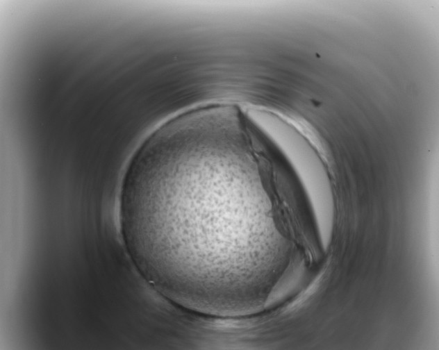 X0000088730904200706071637