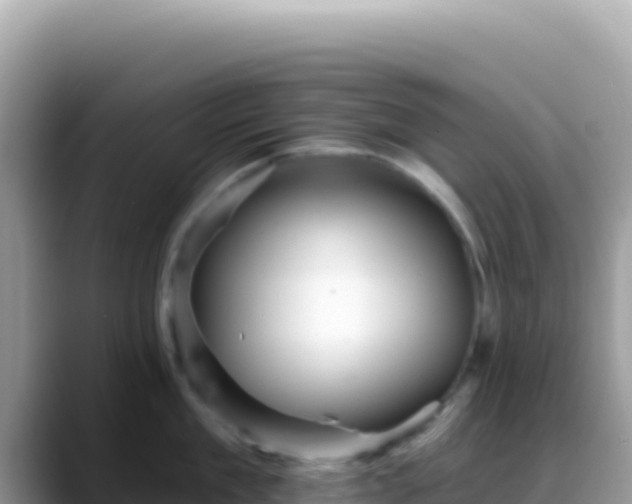 X0000088730909200706071637