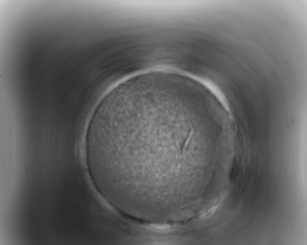 X0000088730911200706071637