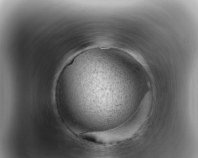 X0000088730912200706071637