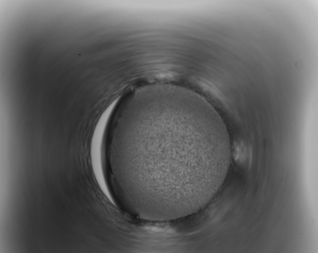 X0000088730915200706071637