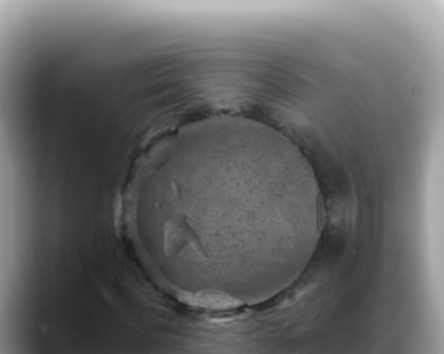 X0000088730916200706071637