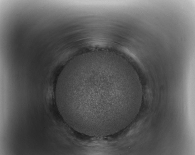 X0000088730918200706071637