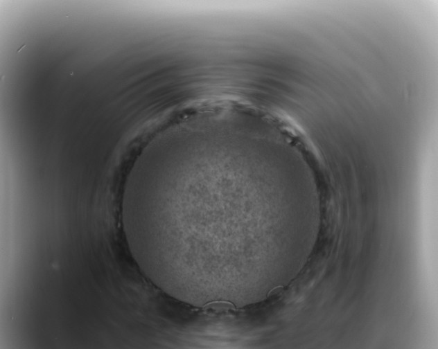 X0000088730919200706071637