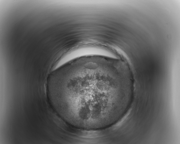 X0000088730921200706071637