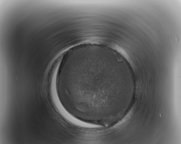 X0000088730923200706071637