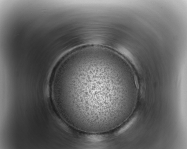 X0000088730924200706071637