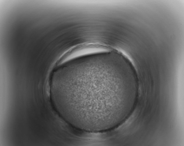 X0000088730925200706071637