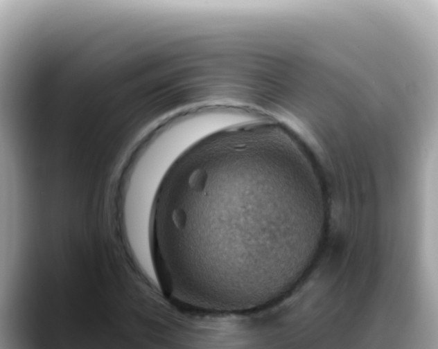X0000088730926200706071637