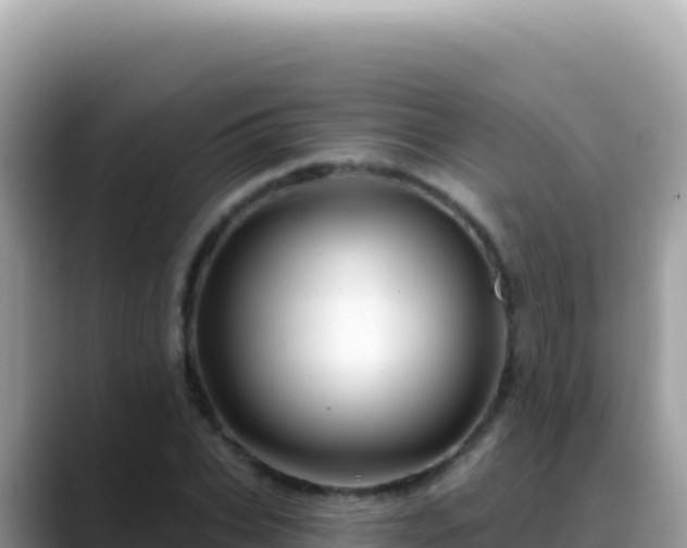 X0000088730927200706071637