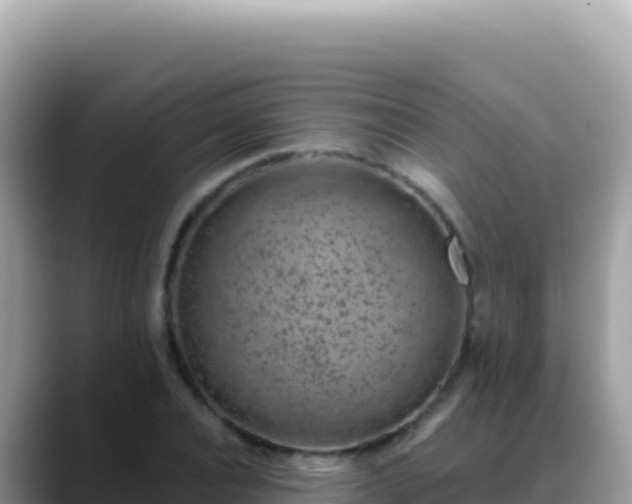 X0000088730928200706071637