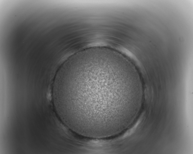 X0000088730929200706071637