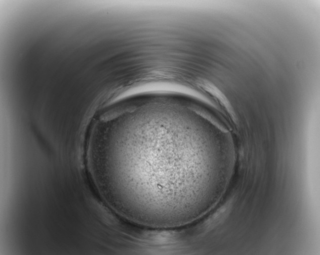 X0000088730930200706071637