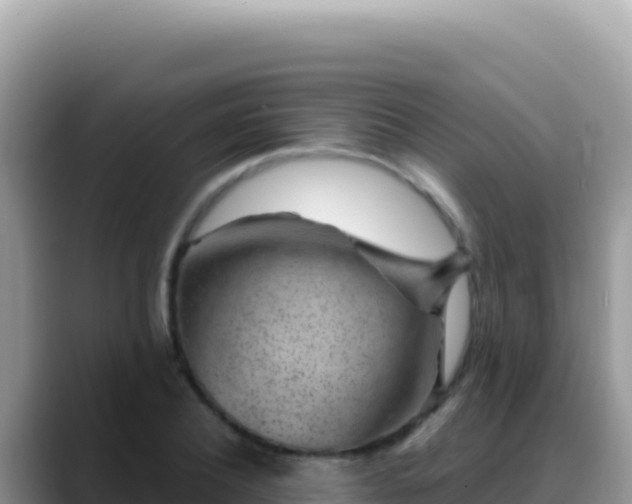 X0000088730932200706071637