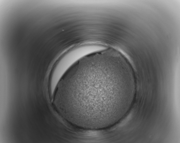 X0000088730933200706071637