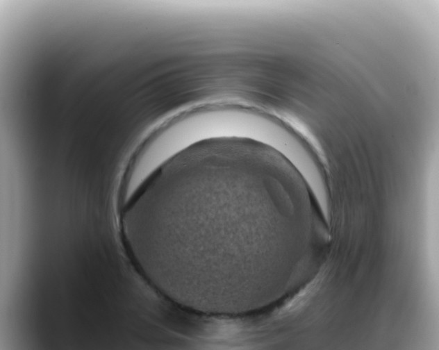X0000088730935200706071637