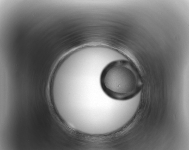 X0000088730936200706071637
