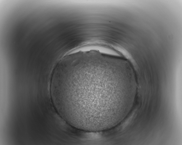 X0000088730937200706071637
