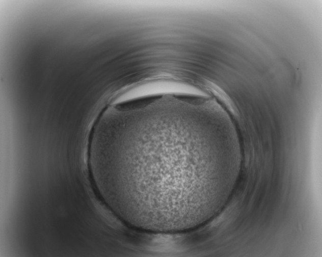 X0000088730938200706071637
