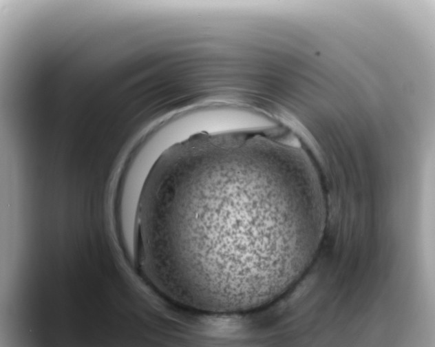 X0000088730939200706071637