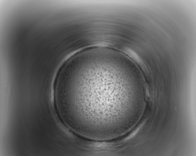 X0000088730940200706071637
