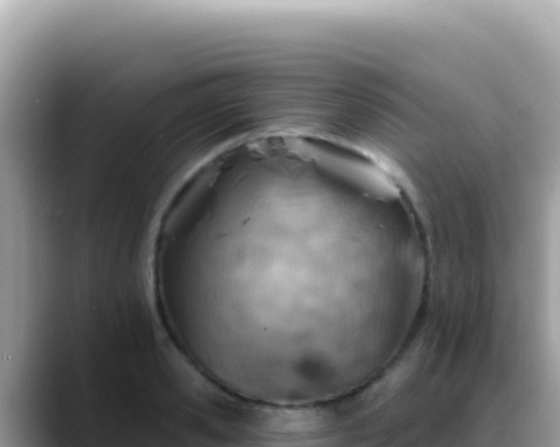 X0000088730941200706071637