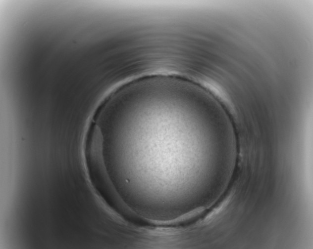 X0000088730942200706071637