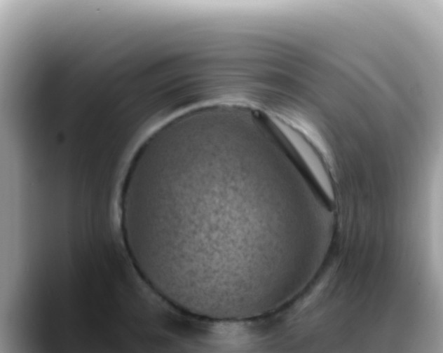 X0000088730944200706071637