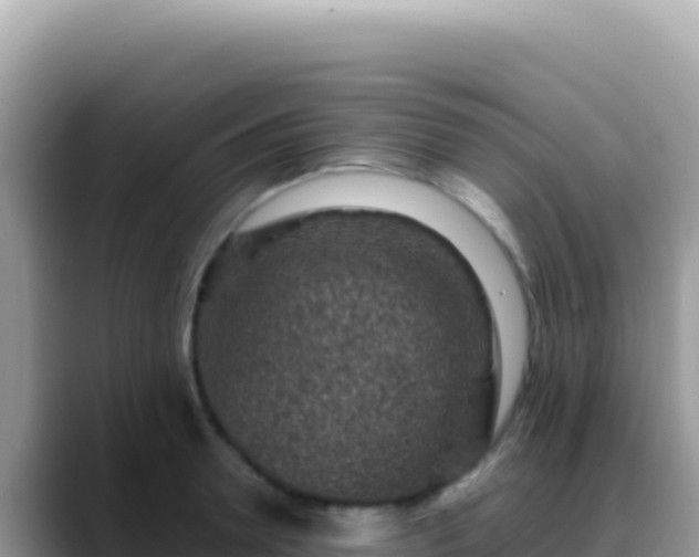 X0000088730946200706071637