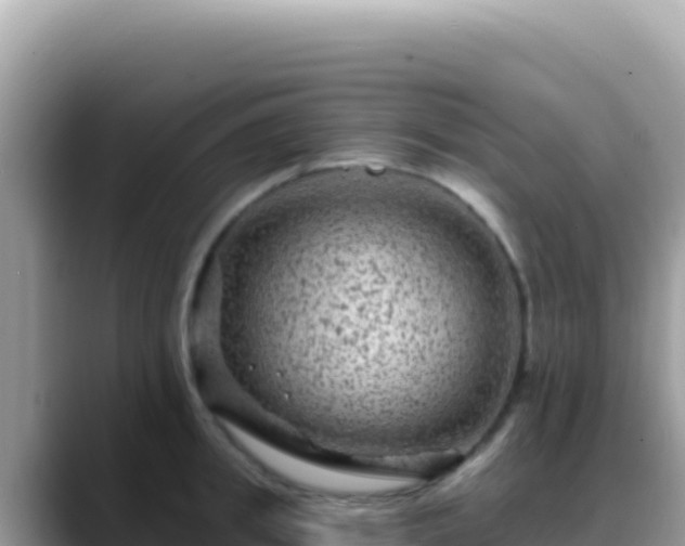 X0000088730949200706071637