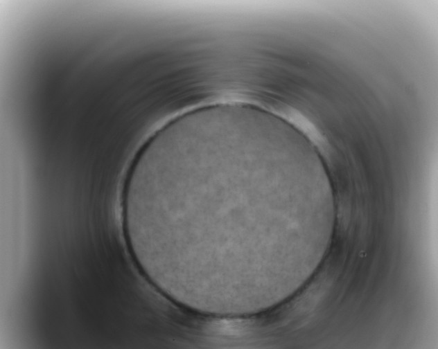 X0000088730950200706071637