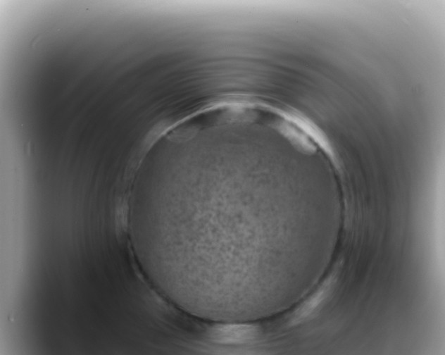 X0000088730953200706071637