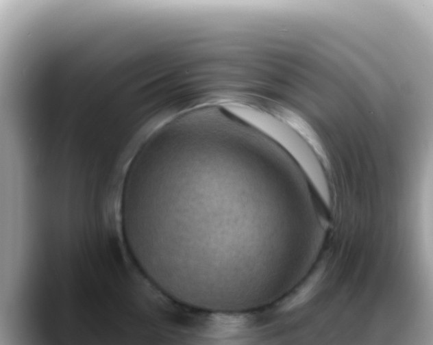X0000088730954200706071637