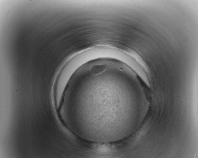 X0000088730955200706071637