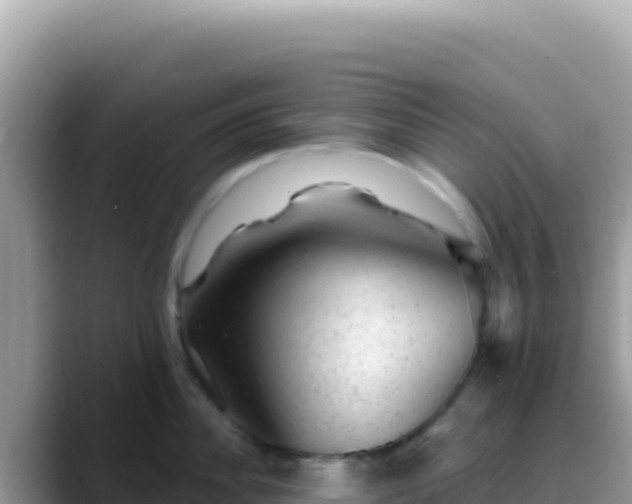 X0000088730956200706071637