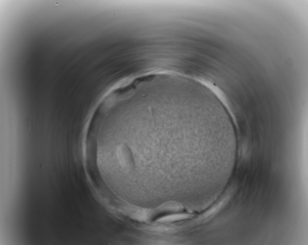 X0000088730957200706071637
