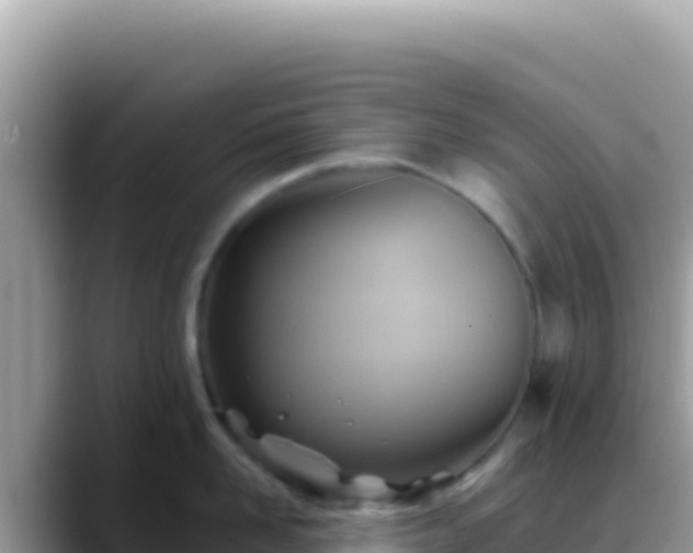 X0000088730958200706071637