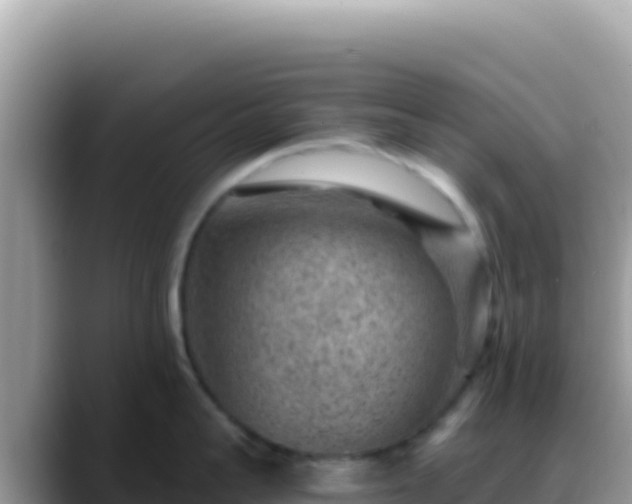 X0000088730959200706071637
