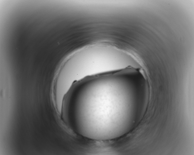 X0000088730960200706071637